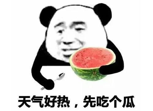 女生发个吃瓜的表情怎么回,女生吃瓜表情背后的趣味解读